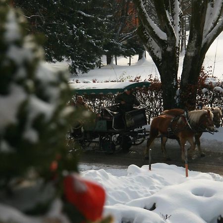 Pension Wolfgangsee Sankt Wolfgang im Salzkammergut Bagian luar foto