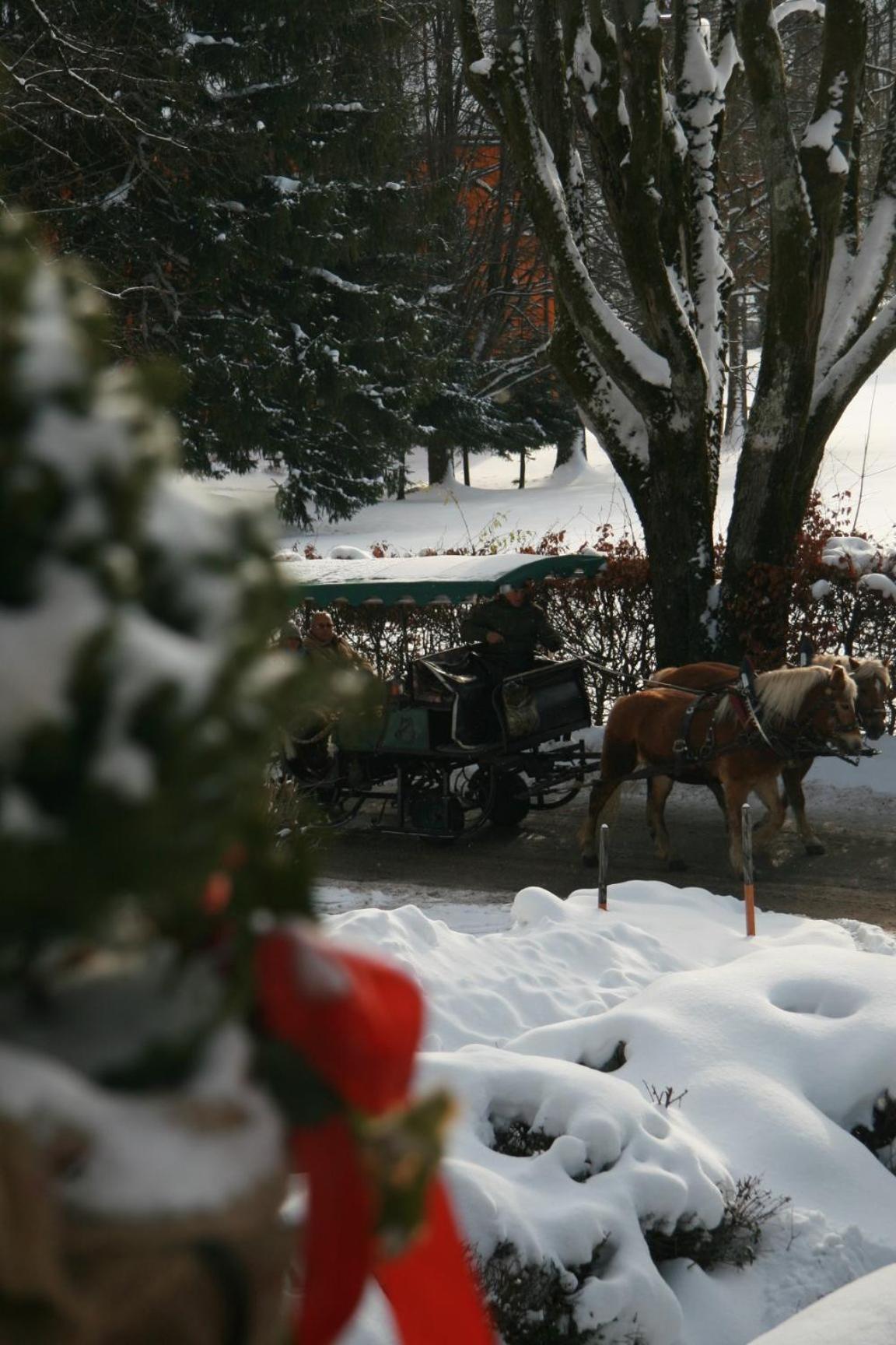 Pension Wolfgangsee Sankt Wolfgang im Salzkammergut Bagian luar foto